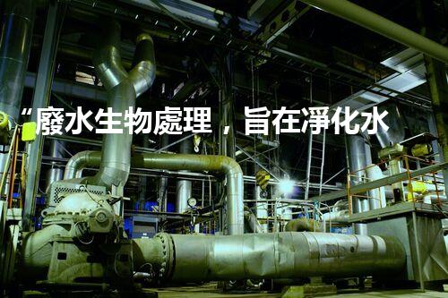 “廢水生物處理，旨在凈化水源，守護(hù)碧水藍(lán)天”